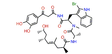 (R)-Jasplakinolide Z5